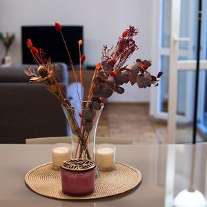 Appartement met een Slaapkamer
